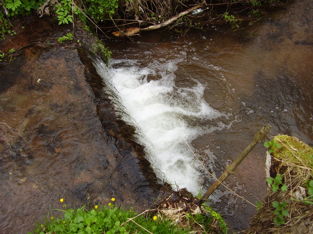experimentální úsek na jaře experimentální úsek na jaře